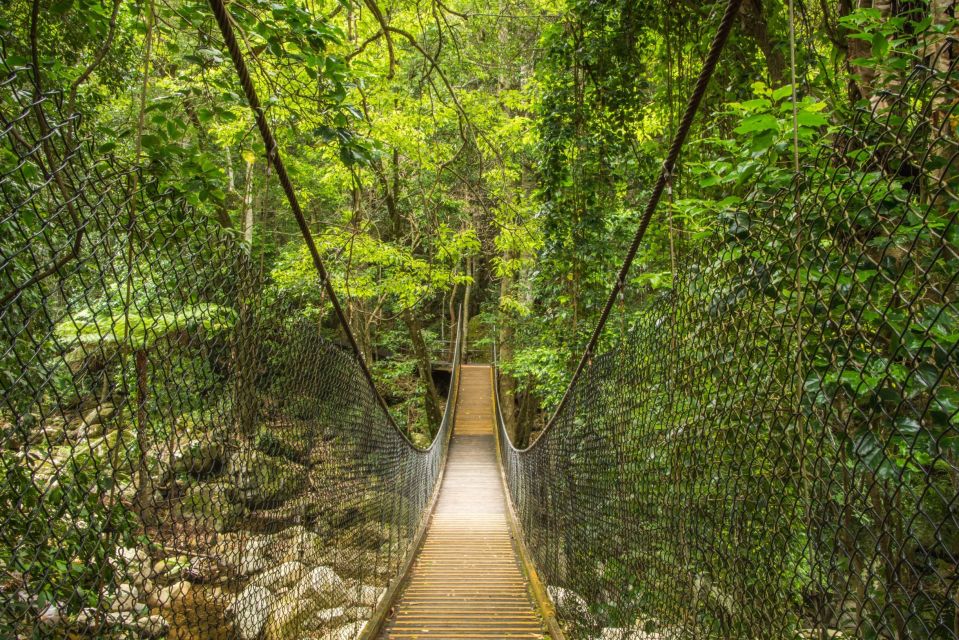 Sydney: Wild Wombats and Kangaroo Experience - Frequently Asked Questions