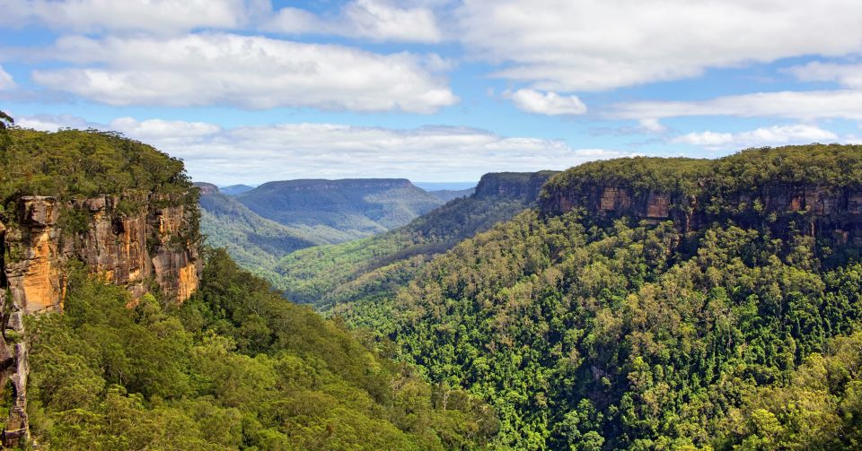 Sydney: Wildlife, Waterfalls and Wine Small Group Tour - Highlights