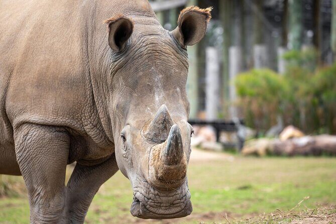 Sydney Zoo General Entry Admission Ticket - Overview of the Sydney Zoo Experience