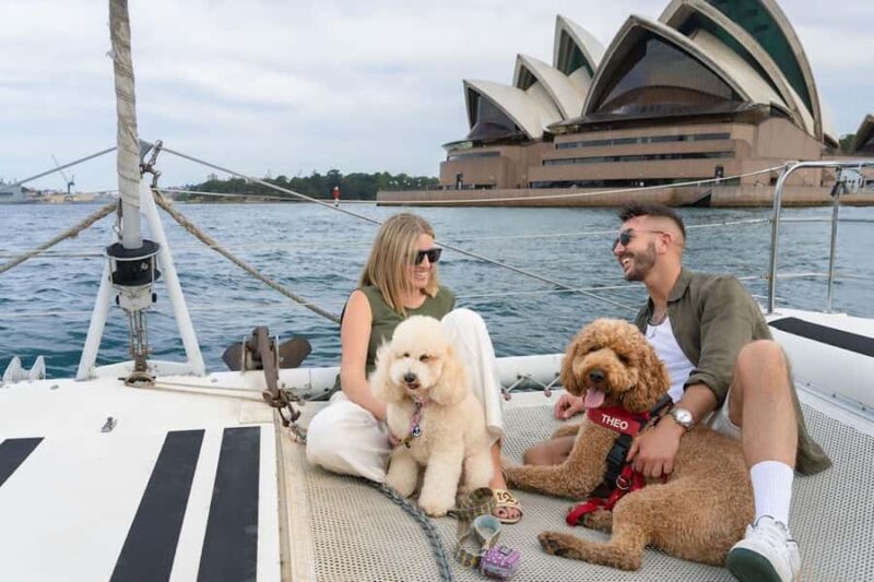 Sydney's 1st Dog Friendly Harbour Cruise: Dogs on Deck - An Honest Look at the Experience