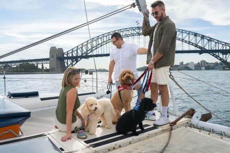 Sydney's 1st Dog Friendly Harbour Cruise: Dogs on Deck - FAQ