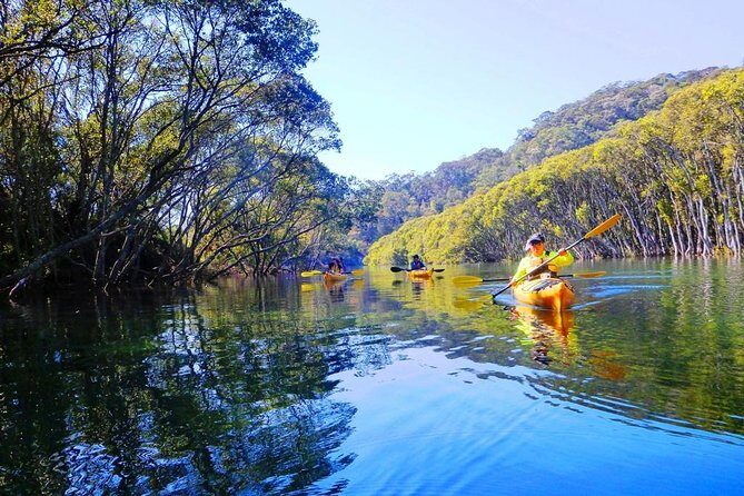 Sydney's Middle Harbour Sea Kayaking Eco Tour (Fully Guided) - The Verdict: Is It Worth It?