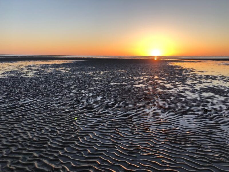 Sylt: Guided Mudflat Hike on the Island - Exploring Sylt: Guided Mudflat Hike on the Island