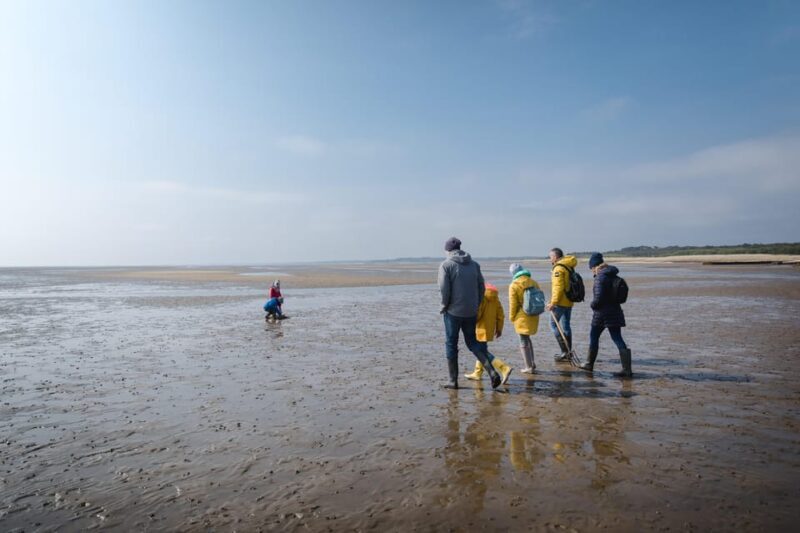 Sylt: Guided Mudflat Hike on the Island - Key Points