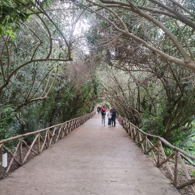 Syracuse Archaeological Park & Ortigia -Private or Shared- - Recap