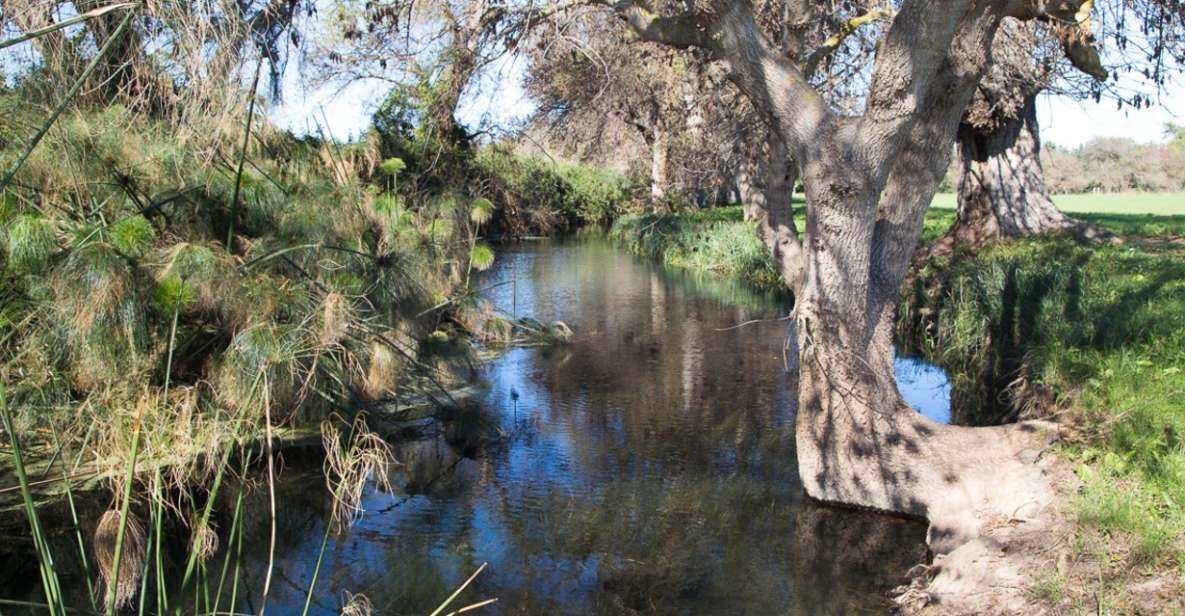 Syracuse: Ciane River Nature Reserve Guided Trek - Meeting Point and Duration
