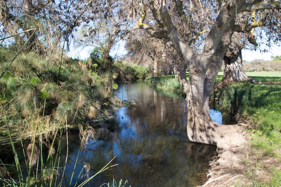Syracuse: Ciane River Nature Reserve Guided Trek - Frequently Asked Questions