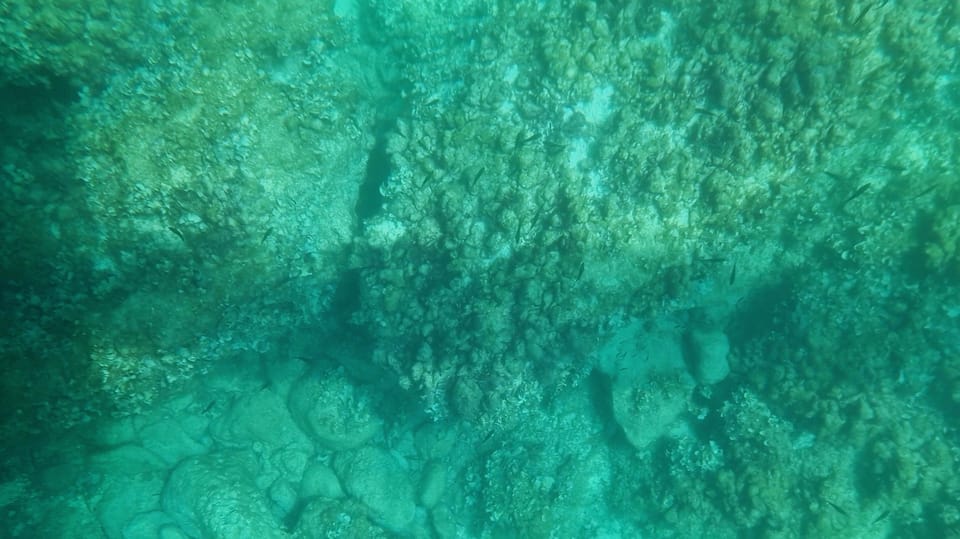 Syracuse: Coast and Sea Caves Full Transparent Boat Tour - Tour Overview and Pricing