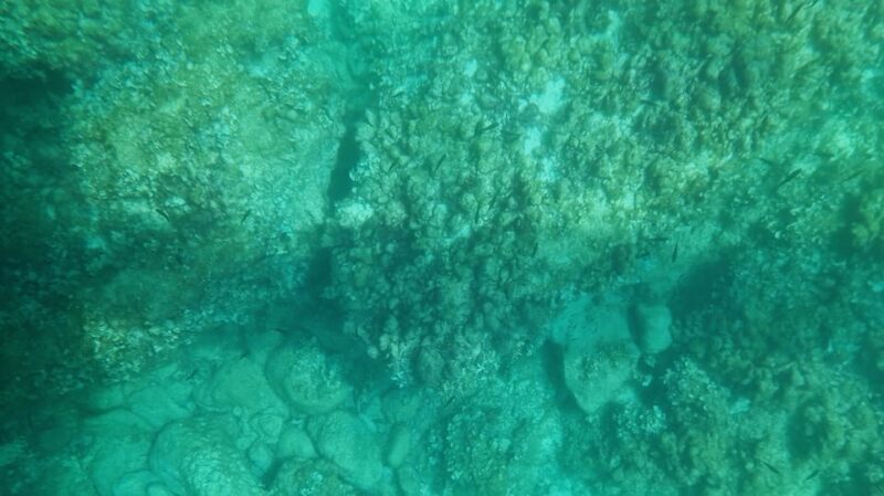 Syracuse: Coast+Sea Caves Full Transparent PRIVATE Boat Tour - Discovering Syracuse’s Coast in a Whole New Light