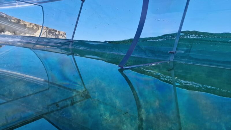 Syracuse: Coast+Sea Caves Full Transparent PRIVATE Boat Tour - Who Will Love This Tour?