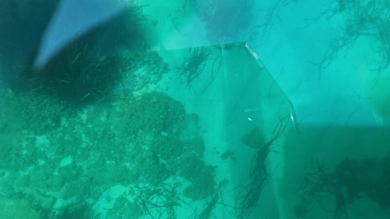 Syracuse: Coast+Sea Caves Full Transparent PRIVATE Boat Tour - FAQ