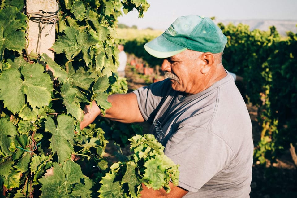Syracuse: Exclusive Sicilian Wine Tasting Experience - Tasting Details