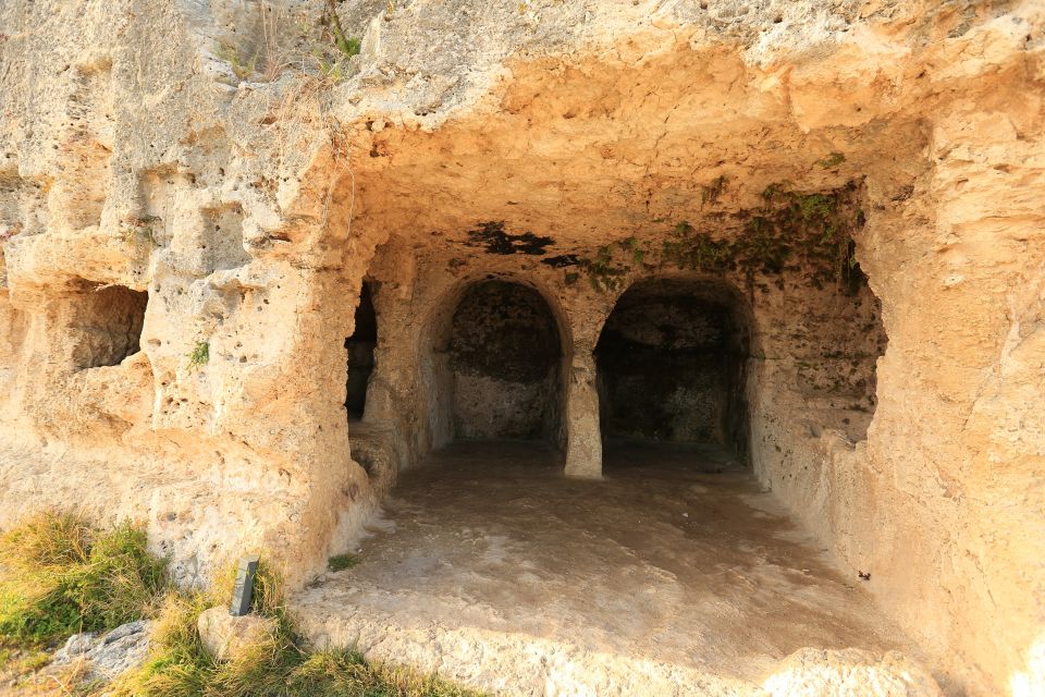 Syracuse: Neapolis Archaeological Park Official Guided Tour - Important Visitor Information