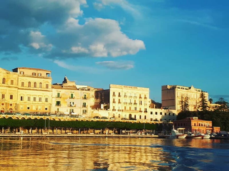 Syracuse: Ortigia and Neapolis Guided Walking Tour - Who Will Love This Tour?