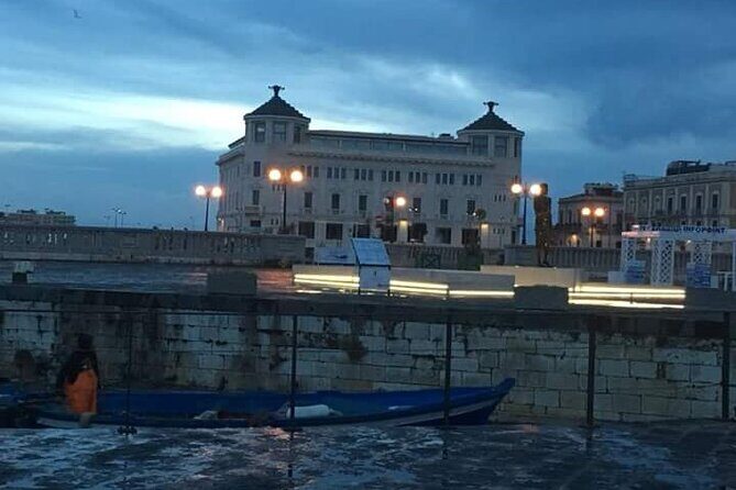 Syracuse Ortigia and Noto Private Tour - Who Should Consider This Tour?