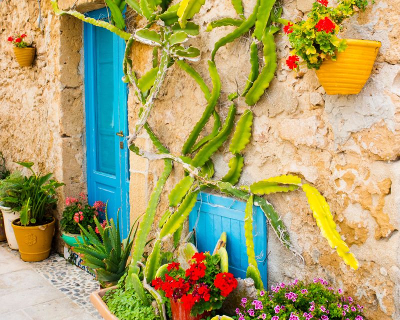 Syracuse, Ortigia, Marzamemi: Excursion From Catania - Excluded Fees and Expenses
