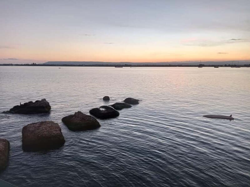 Syracuse, Ortigia Private Tour: Pickup from Catania - Authentic Perspectives from Past Travelers  