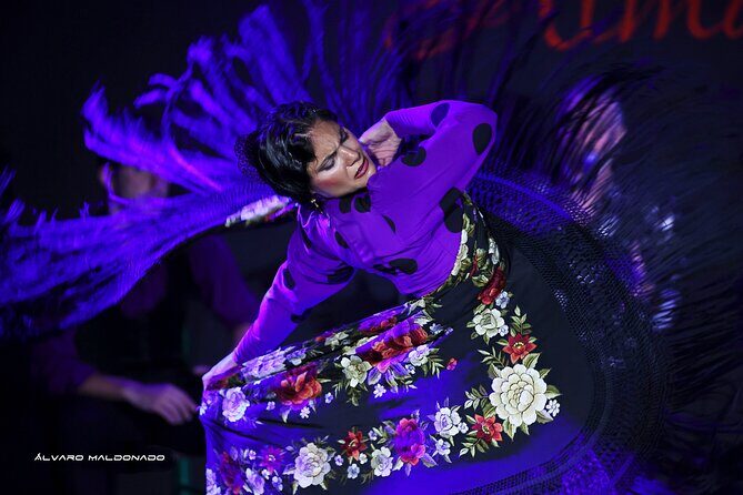 Tablao Flamenco Alma - Live Flamenco Show - An In-Depth Look at the Experience