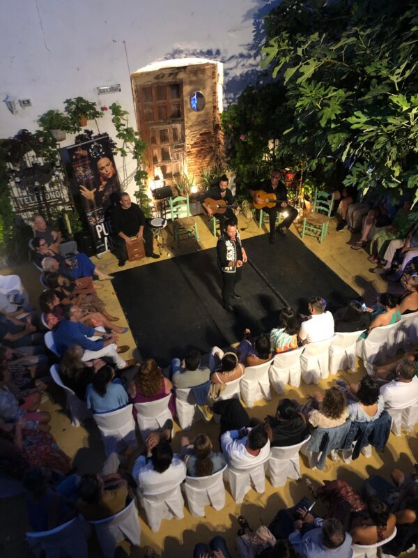 Tablao Flamenco La Puerta Ancha entrance ticket - Key Points