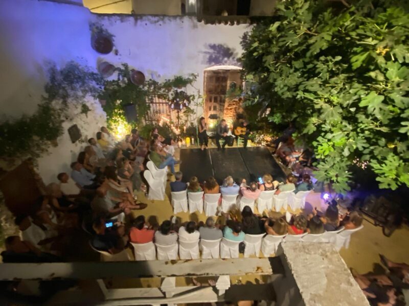 Tablao Flamenco La Puerta Ancha entrance ticket - What to Expect During the Tour
