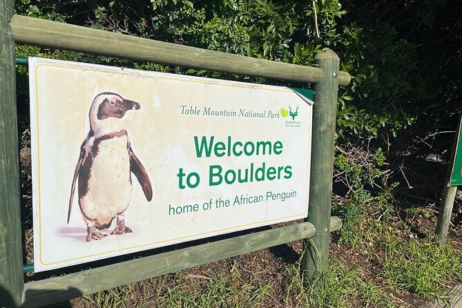 Table Mountain and Penguins Half Day Shared Group Tour - Itinerary Details