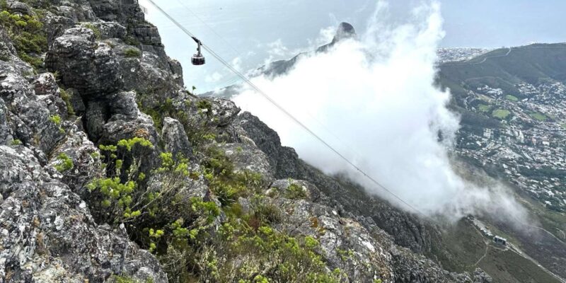Table Mountain Boulders Beach and Cape Point - Fascinating Noordhoek Guided Tour