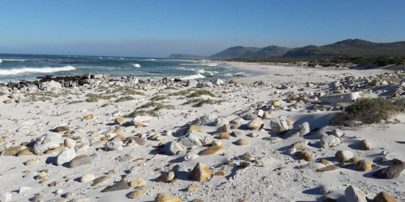 Table Mountain Boulders Beach and Cape Point - Visiting Cape Point