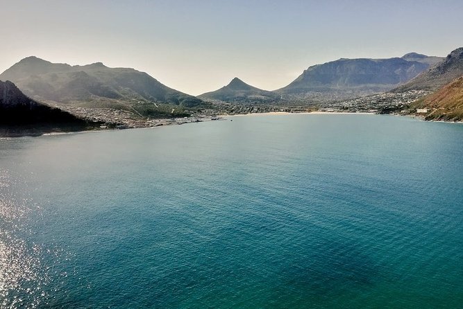 Table Mountain, Boulders Penguins & Cape Point, Private Day Tour - Exceptional Guides