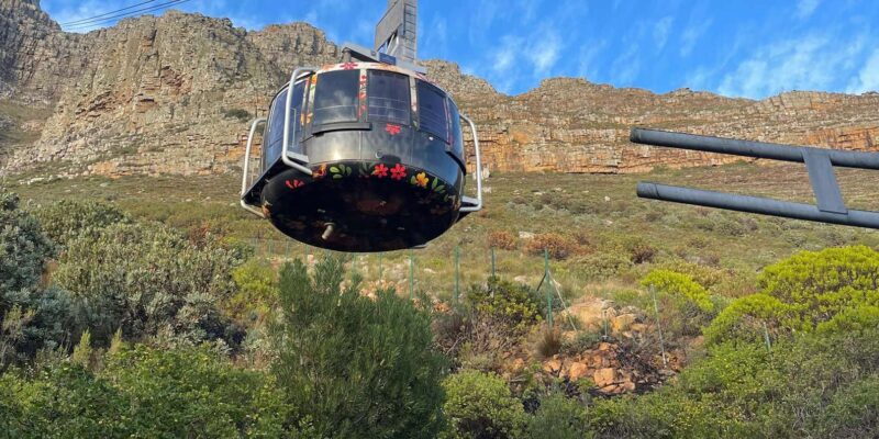 Table Mountain, Cape Point, and Penguins Group Tour - Good To Know