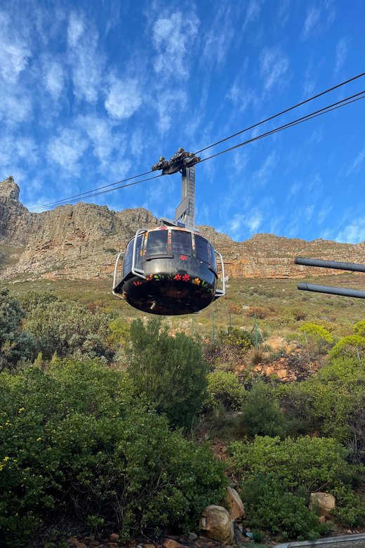 Table Mountain, Cape Point, and Penguins Group Tour - Tour Stops