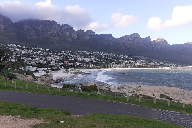 Table Mountain, Cape Point & Penguins Private ,From Cape Town - Customer Experiences
