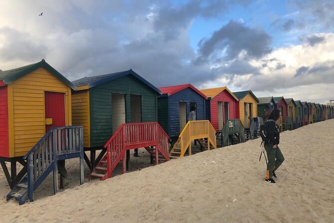 Table Mountain, Cape Point & Penguins Private ,From Cape Town - Exploring Table Mountain