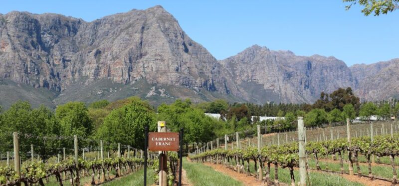 Table Mountain & Constantia Wine Estate Private Combo Tour - Itinerary Highlights