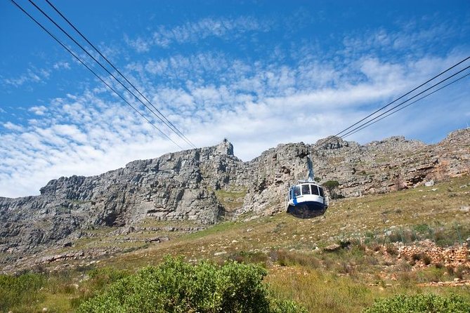 Table Mountain Experience With Half-Day Private Chauffeur - Customer Reviews and Feedback