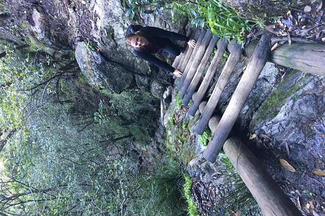Table Mountain Hike (All Routes) - Private Tour - Kirstenbosch Botanical Gardens Hike