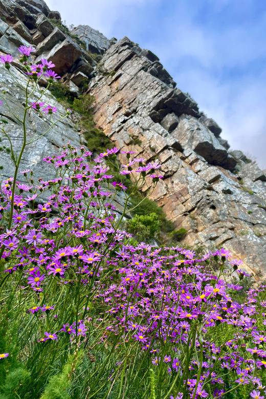 Table Mountain via Platteklip Gorge - Best Time to Hike