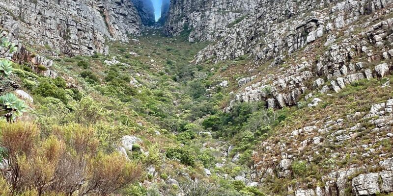 Table Mountain via Platteklip Gorge - What to Pack