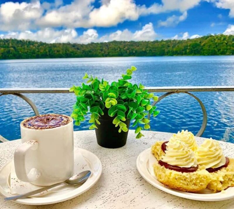 Tablelands Sights & Daintree Rainforest (2 Day Tours) - Final Thoughts: Who Should Consider This Tour?