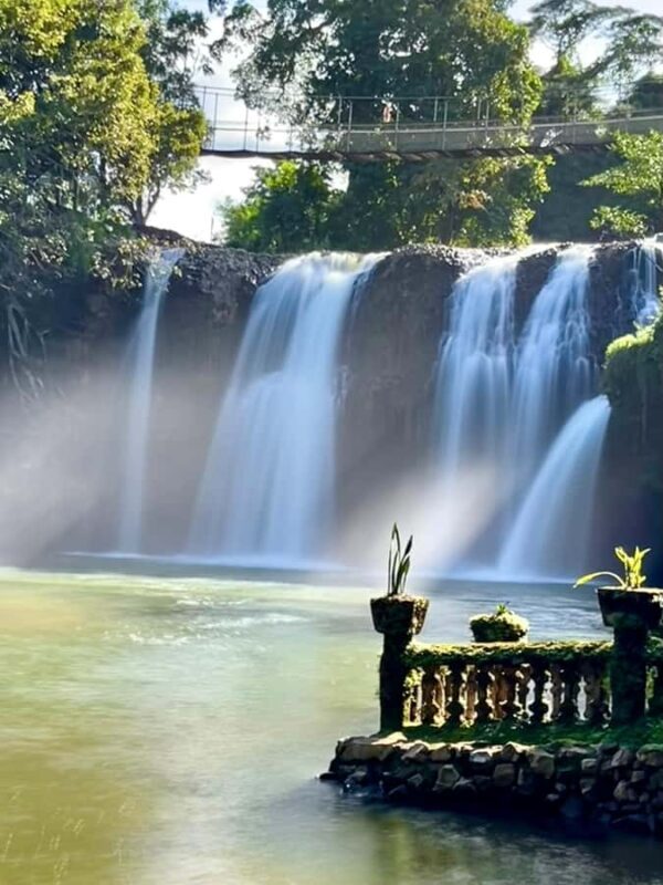 Tablelands Sights & Daintree Rainforest (2 Day Tours) - FAQ