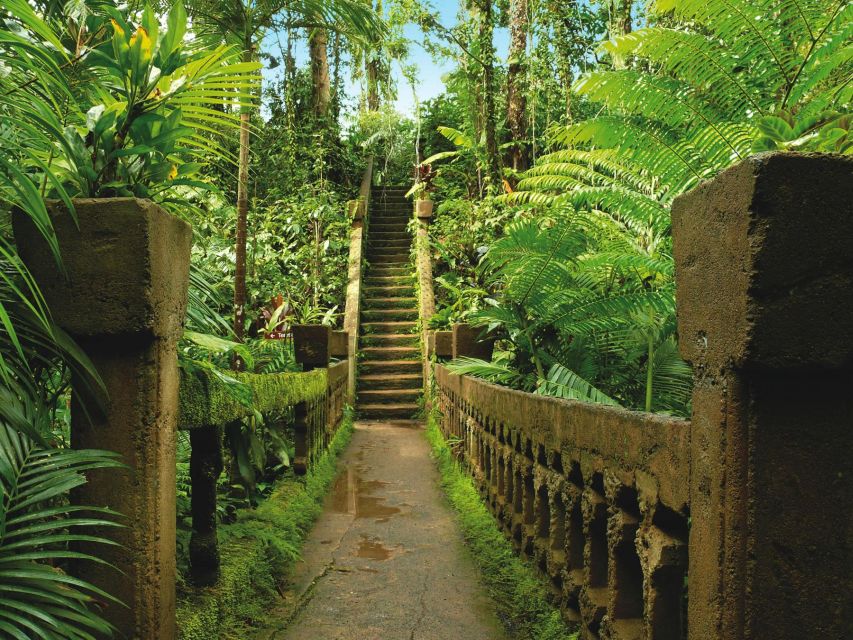 Tablelands Sights & Daintree Rainforest - Activities