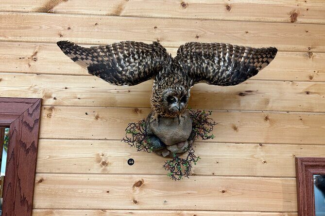 Tablet Tour in Wildlife Gallery - FAQ