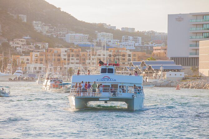 Tacos buffet & Open Bar Cruise! Los Cabos Round Transportation - An In-Depth Look at the Experience