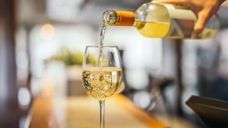 Tadoussac/Charlevoix: VIP Lounge OR UpperDeck Whale Watching - Key Points