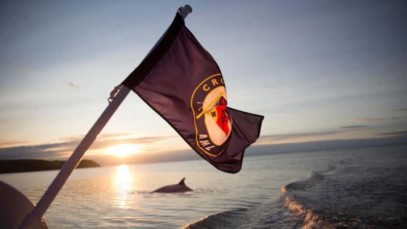 Tadoussac/Charlevoix: Whale & Fjord Morning or Twilight Tour - Key Points
