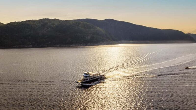 Tadoussac/Charlevoix: Whale & Fjord Morning or Twilight Tour - Authentic Marine Encounters in Quebec’s Most Famous Waters