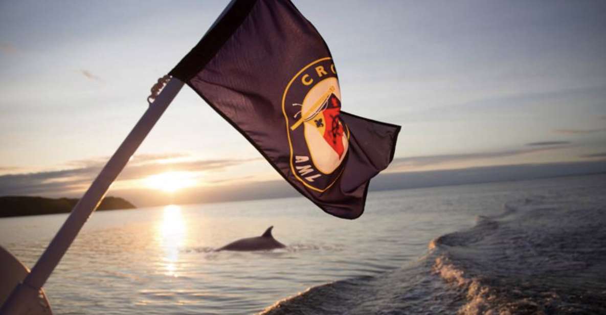 Tadoussac: Whales and Fjord Cruise - Morning or Twilight Tour - Highlights of the Experience