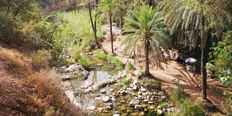 Taghazout/Agadir: Atlas Mountains & Sandboarding With Lunch - Berber Lunch Experience