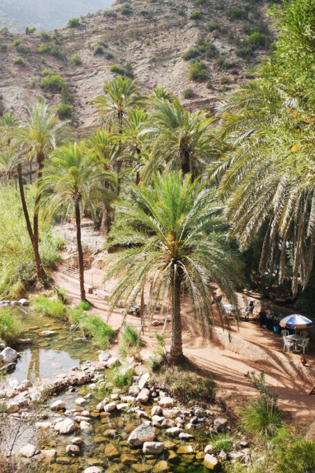 Taghazout/Agadir: Atlas Mountains & Sandboarding With Lunch - Frequently Asked Questions