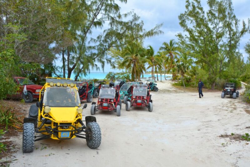 Taghazout: Guided Buggy Tour - Tour Overview