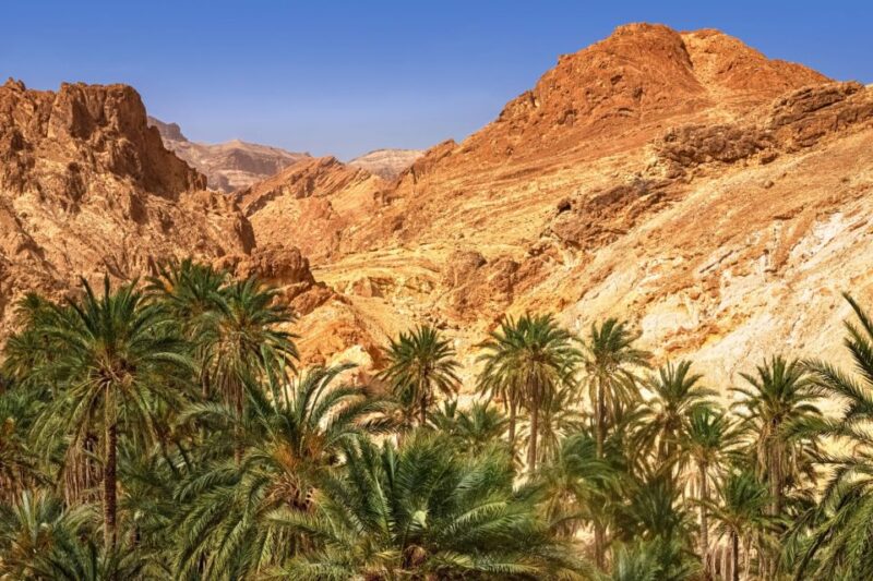 Taghazout: Paradise Valley and Sand Dunes Guided Tour - Discovering Timlalin Sand Dunes